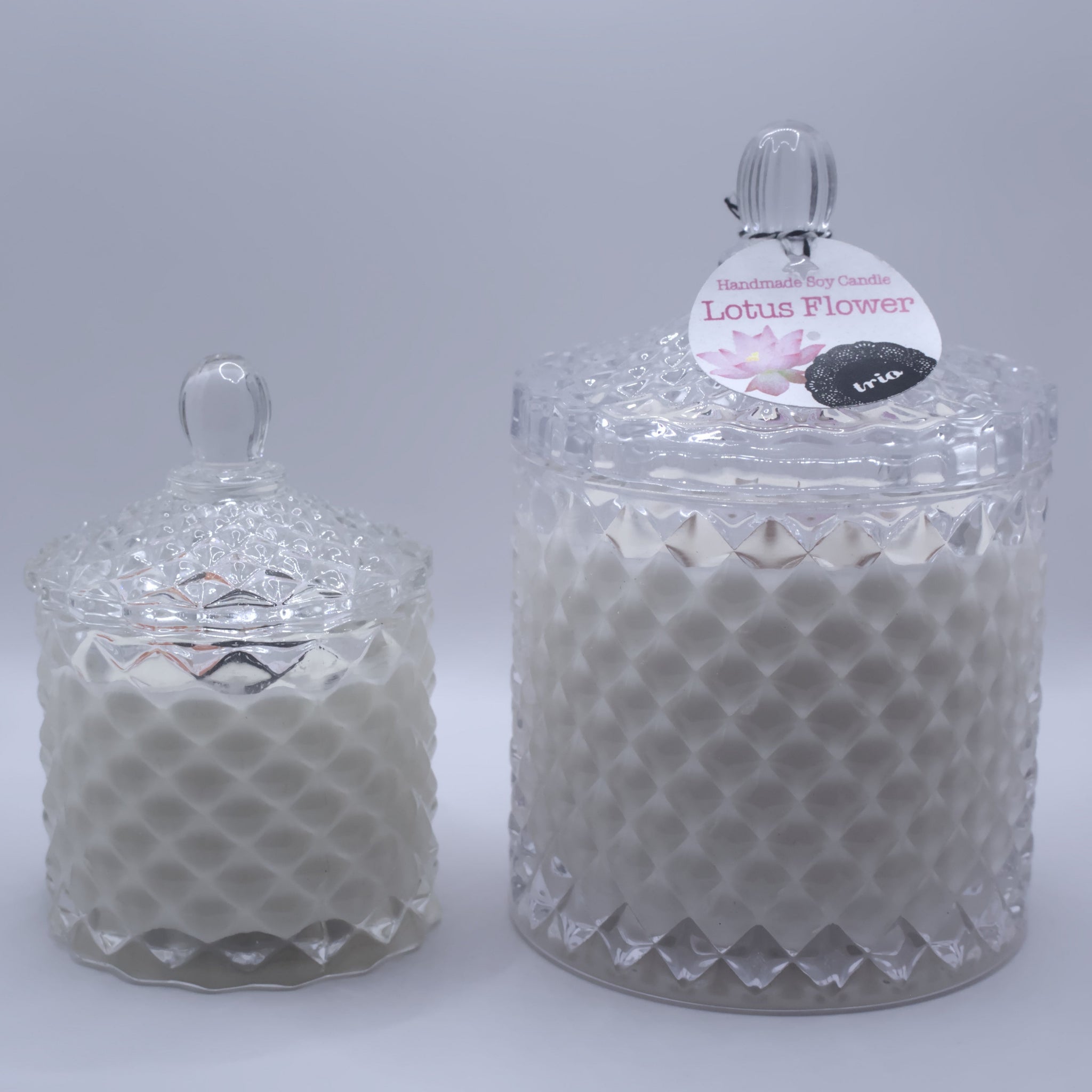 Medium Geo Clear Cut